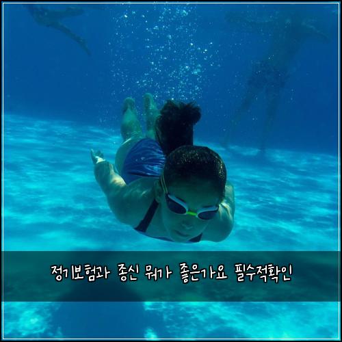 정기보험과 종신 뭐가 좋은가요 필수적확인