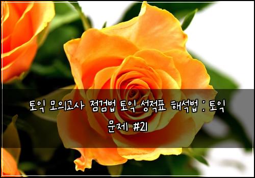 토익 모의고사 점검법 토익 성적표 해석법 : 토익 문제 #21