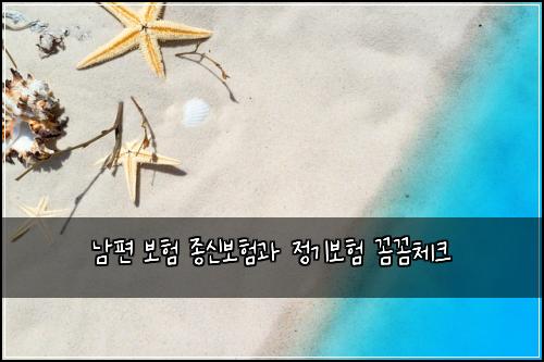 남편 보험 종신보험과 정기보험 꼼꼼체크