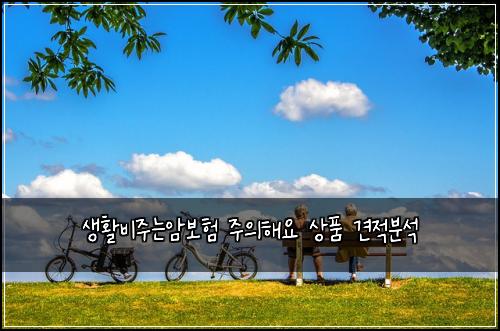 생활비주는암보험 주의해요  상품 견적분석
