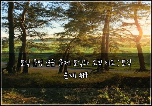 토익 문법 연습 문제 토익과 오픽 비교 : 토익 문제 #14