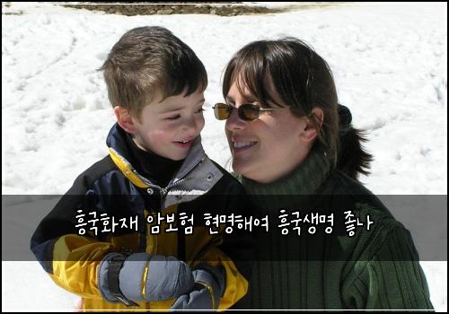 흥국화재 암보험 현명해여  흥국생명 좋나