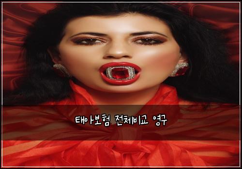 태아보험 전체비교  영구