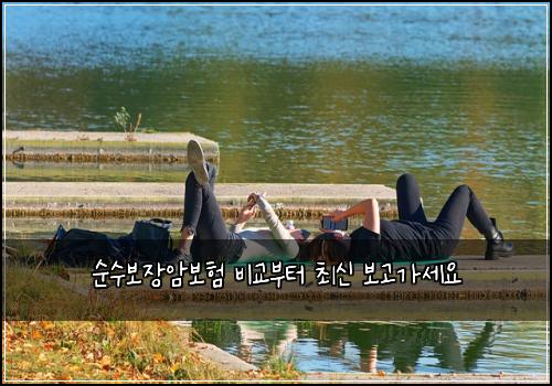 순수보장암보험 비교부터  최신 보고가세요