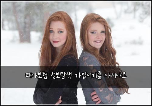 태아보험 정보탐색  가입시기를 아시나요