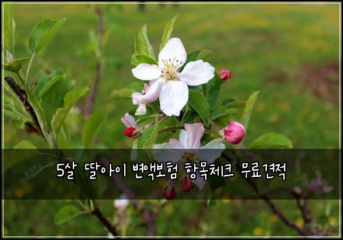 5살 딸아이 변액보험 항목체크  무료견적
