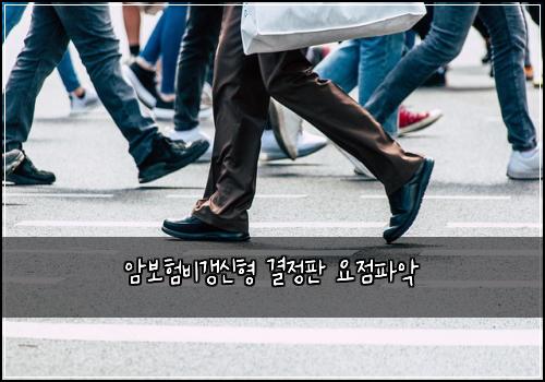 암보험비갱신형 결정판 요점파악