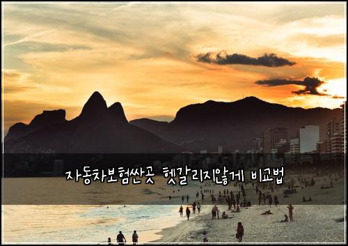 자동차보험싼곳 헷갈리지않게 비교법