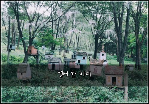 영어 한 마디