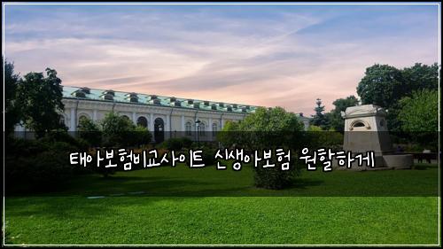 태아보험비교사이트 신생아보험 원할하게