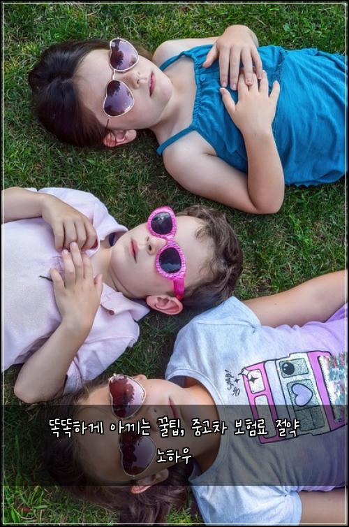  똑똑하게 아끼는 꿀팁, 중고차 보험료 절약 노하우