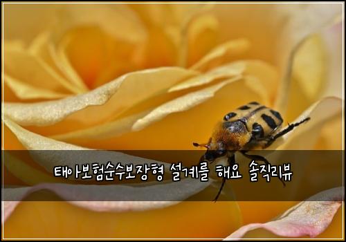태아보험순수보장형 설계를 해요 솔직리뷰