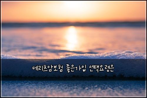 메리츠암보험 좋은가입  선택요령은