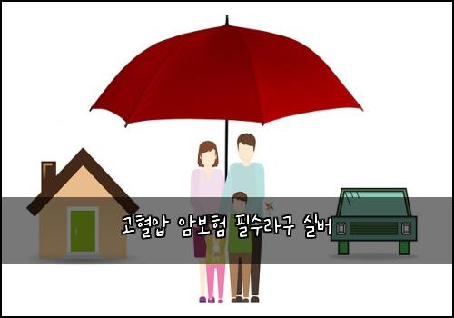 고혈압 암보험 필수라구  실버