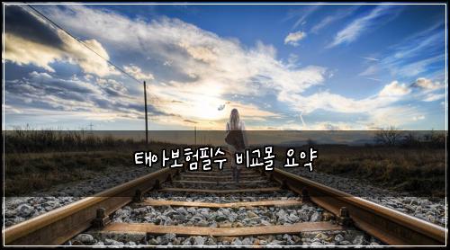 태아보험필수 비교몰 요약