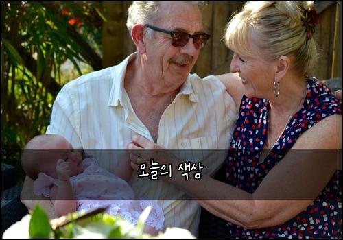 오늘의 색상