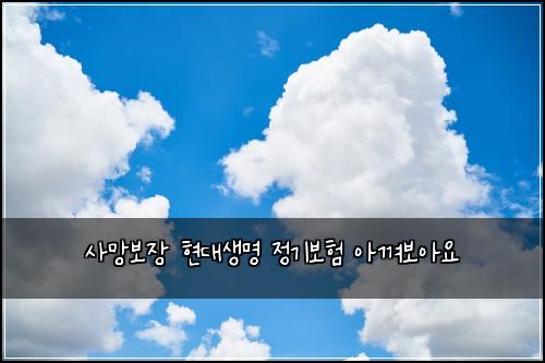 사망보장 현대생명 정기보험 아껴보아요 