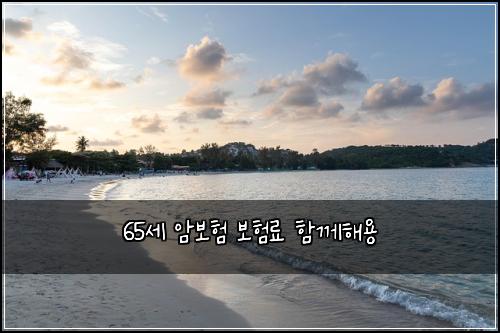 65์ธ ์๋ณดํ ๋ณดํ๋ฃ ํจ๊ปํด์ฉ