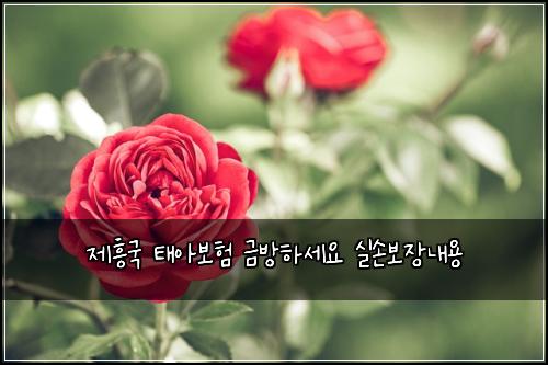 제흥국 태아보험 금방하세요  실손보장내용