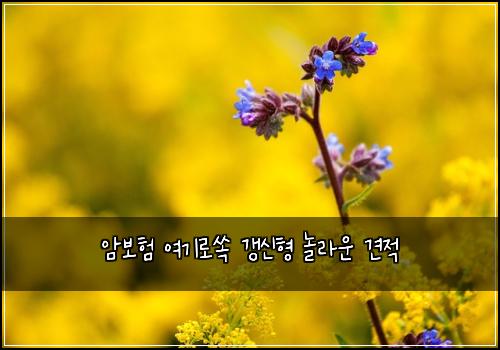 암보험 여기로쏙  갱신형 놀라운 견적