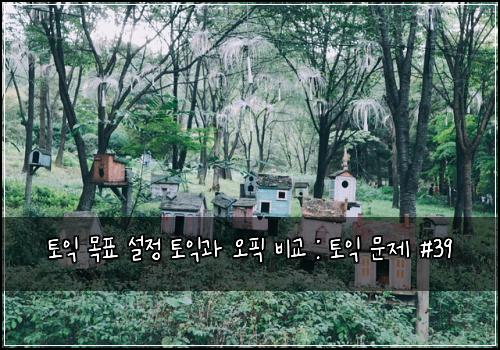 토익 목표 설정 토익과 오픽 비교 : 토익 문제 #39