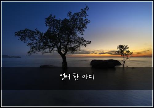 영어 한 마디