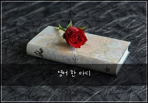 영어 한 마디