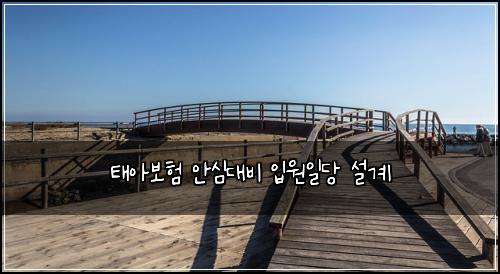 태아보험 안심대비  입원일당 설계