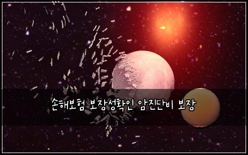 손해보험 보장성확인  암진단비 보장