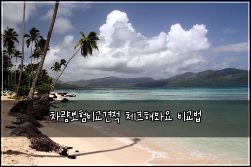 차량보험비교견적 체크해봐요 비교법