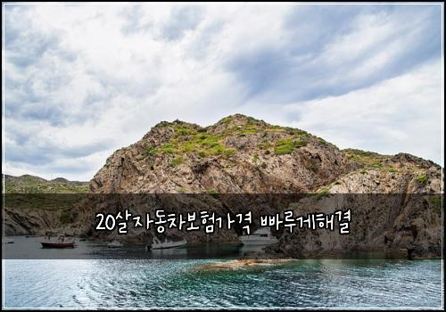 20살자동차보험가격 빠루게해결