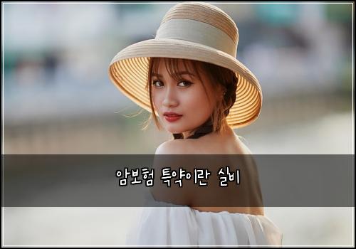 암보험 특약이란  실비
