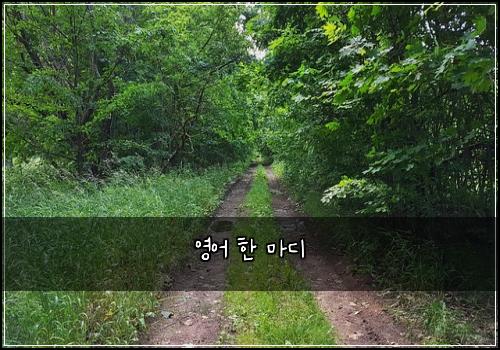 영어 한 마디