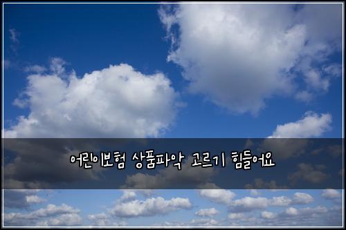 어린이보험 상품파악  고르기 힘들어요