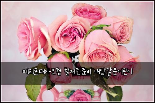 λ©λ¦¬μΈ νμ보ν μ² μ νμ€λΉ λ΄λ§κ°μμ΄λ¦°μ΄