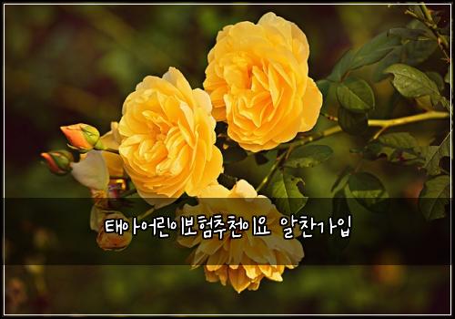 태아어린이보험추천이요 알찬가입