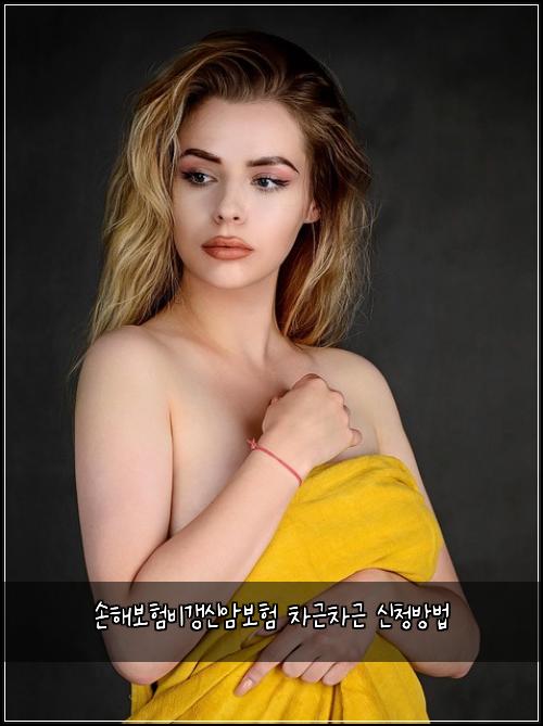손해보험비갱신암보험 차근차근 신청방법