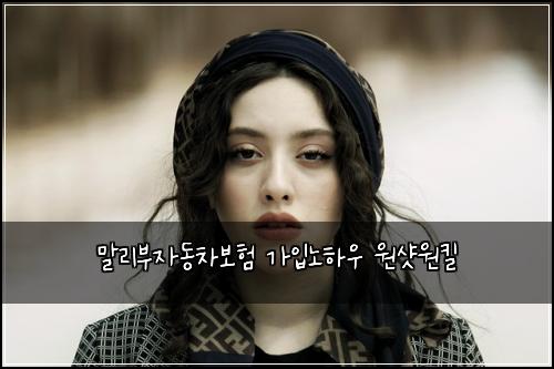 말리부자동차보험 가입노하우  원샷원킬