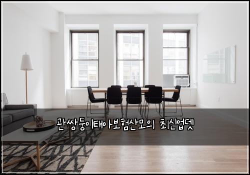 관쌍둥이태아보험산모의 최신업뎃