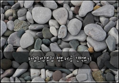 저렴한암보험 정보제공  견적보기