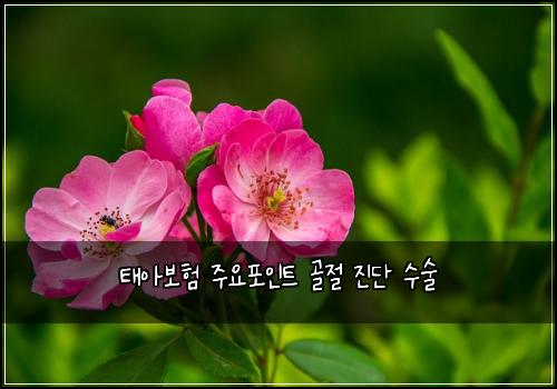 태아보험 주요포인트  골절 진단 수술