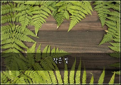 작은 빛