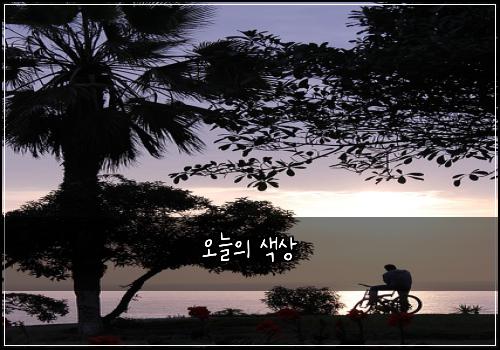 오늘의 색상