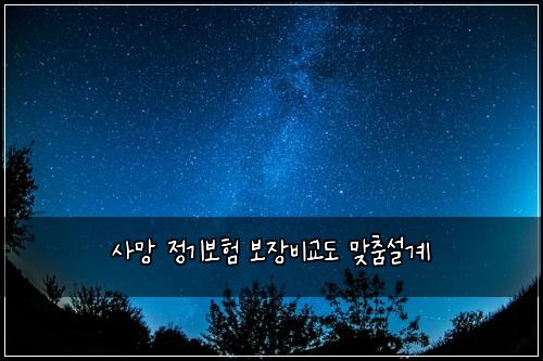 사망 정기보험 보장비교도  맞춤설계