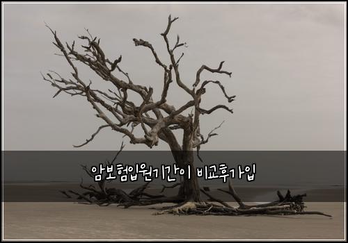 암보험입원기간이 비교후가입