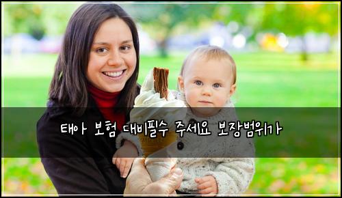 ํ์ ๋ณดํ ๋๋นํ์ ์ฃผ์ธ์ ๋ณด์ฅ๋ฒ์๊ฐ