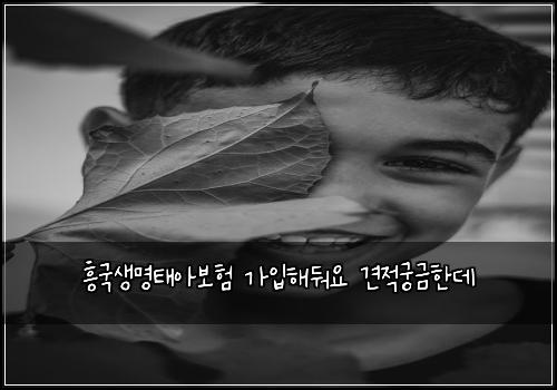 흥국생명태아보험 가입해둬요  견적궁금한데