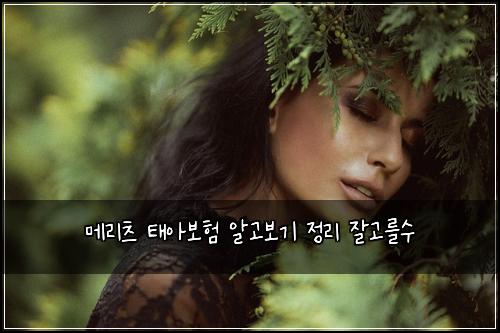 메리츠 태아보험 알고보기  정리 잘고를수