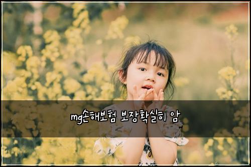 mg손해보험 보장확실히  암