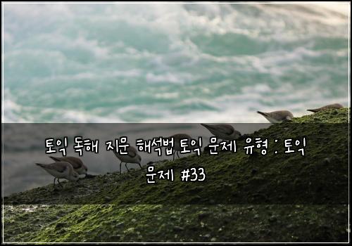 토익 독해 지문 해석법 토익 문제 유형 : 토익 문제 #33